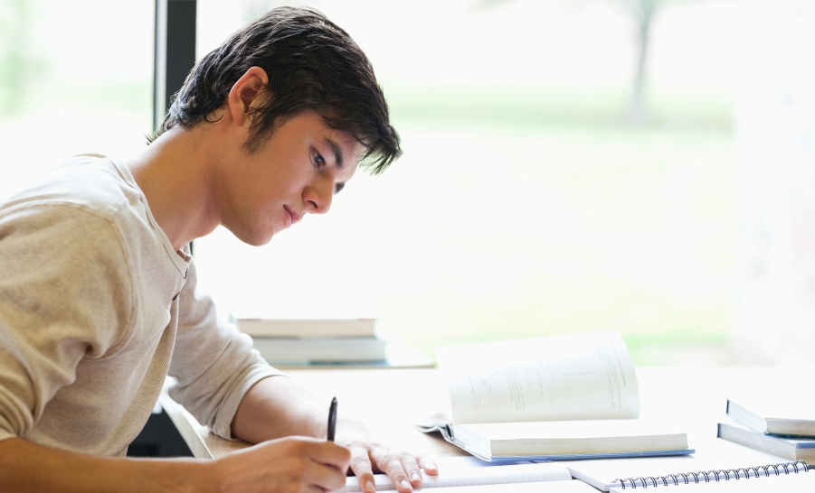 dissertation writing services usa